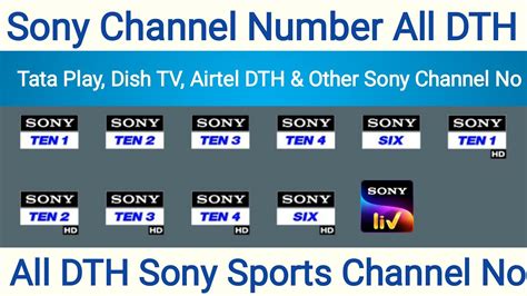 sony liv channel no.